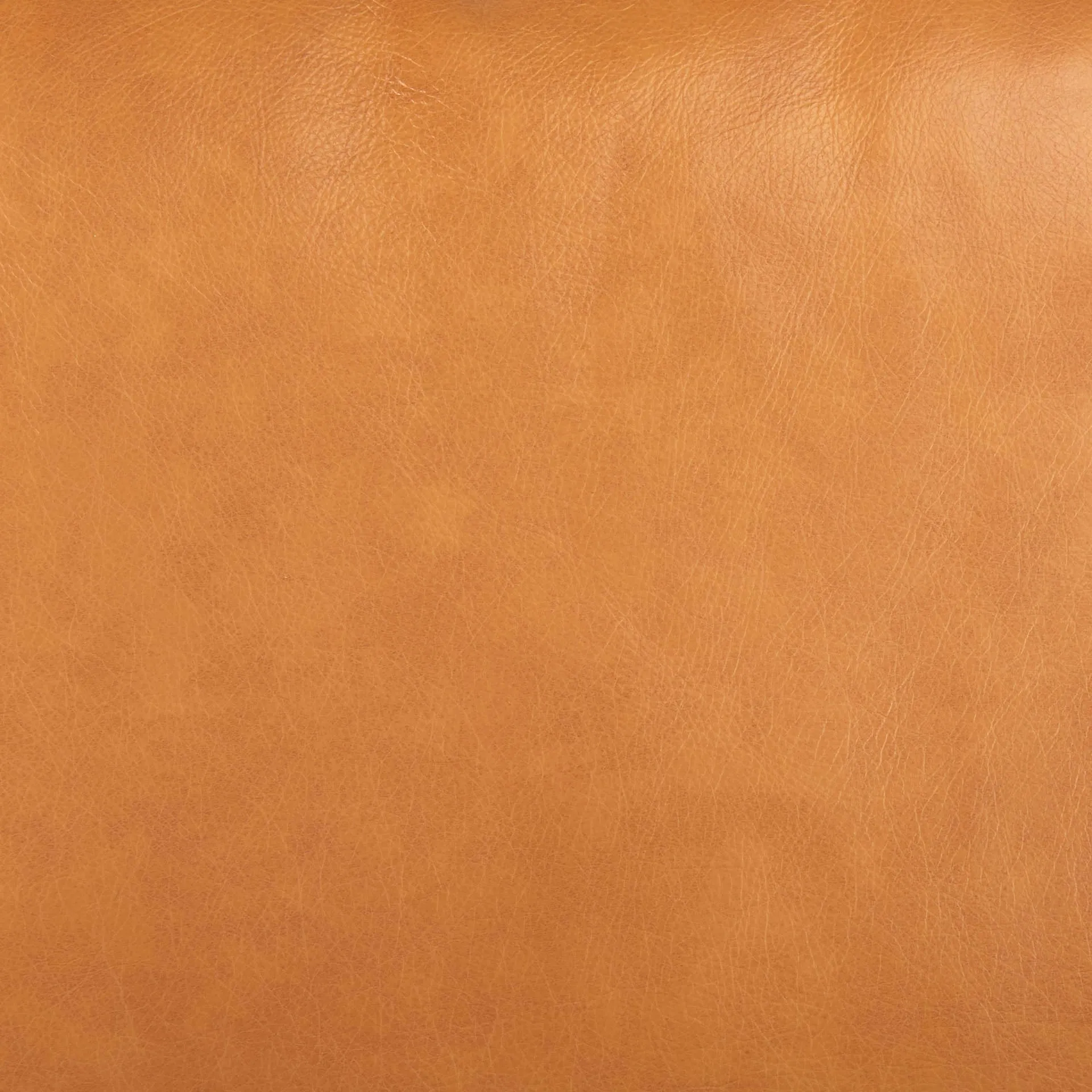 Arne Sofa Sectional in Tan Leather | Right Chaise