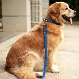 Blueberry Leash (Water Resistant)