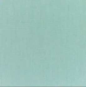 Sunbrella Canvas Spa 54" Upholstery Fabric