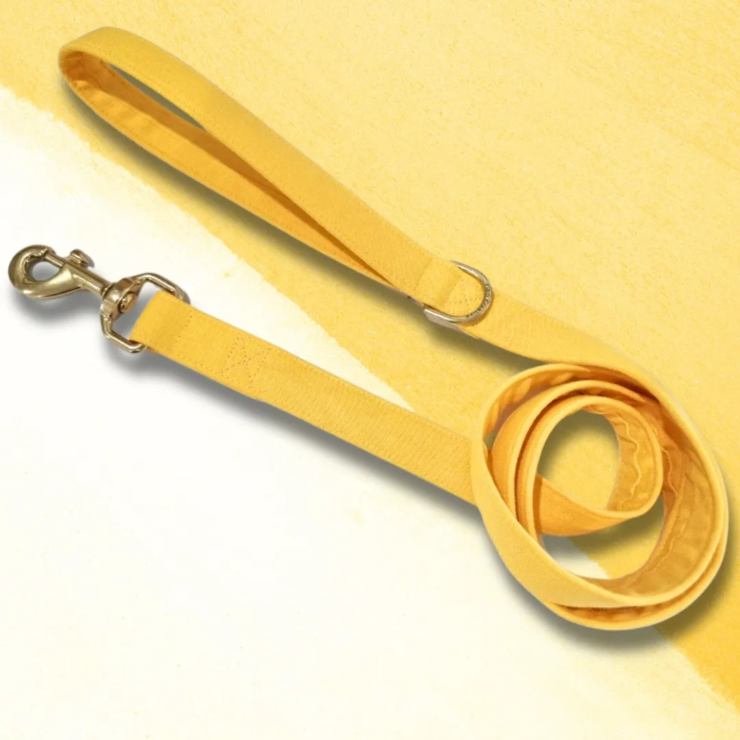 Yellow leash - water resistant