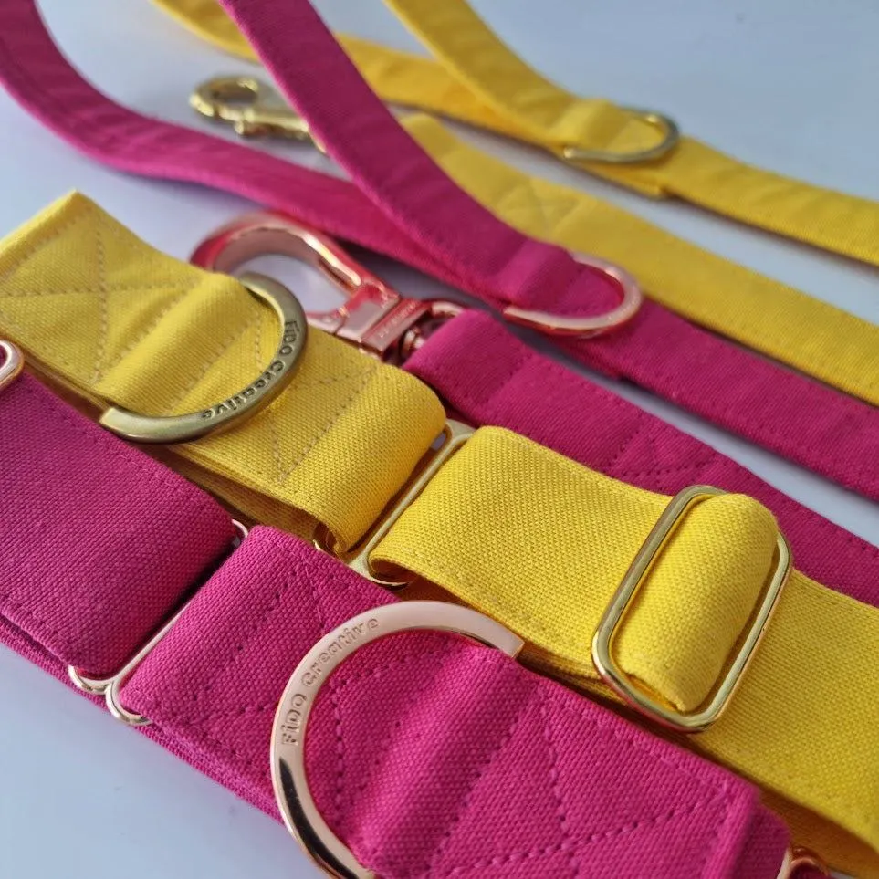 Yellow leash - water resistant